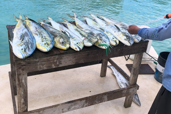 pesca1